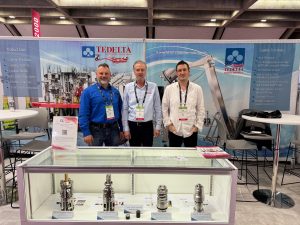 Sealing Success: Tedelta’s Strategy for Entering the U.S. Wine Industry